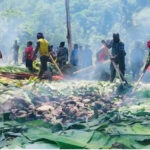 5 Tradisi Natal Unik Indonesia: Dari Rabo-Rabo hingga Bakar Batu