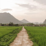 Mimpi di Tempat Sepi: Cerminan Ketenangan Batin hingga Pertanda Kejutan Tak Menyenangkan