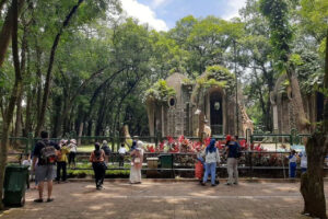 Liburan Akhir Tahun di Ragunan: Tiket Hanya Rp4.000, Cocok untuk Keluarga