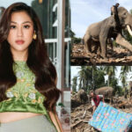 Sherina Munaf Protes Keras: Gajah Bukan Alat Berat untuk Bersihkan Banjir Aceh