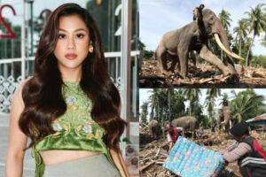 Simak profil Sherina Munaf, artis yang murka lihat gajah dijadikan 'alat berat' untuk angkut gelondongan kayu di banjir Aceh.