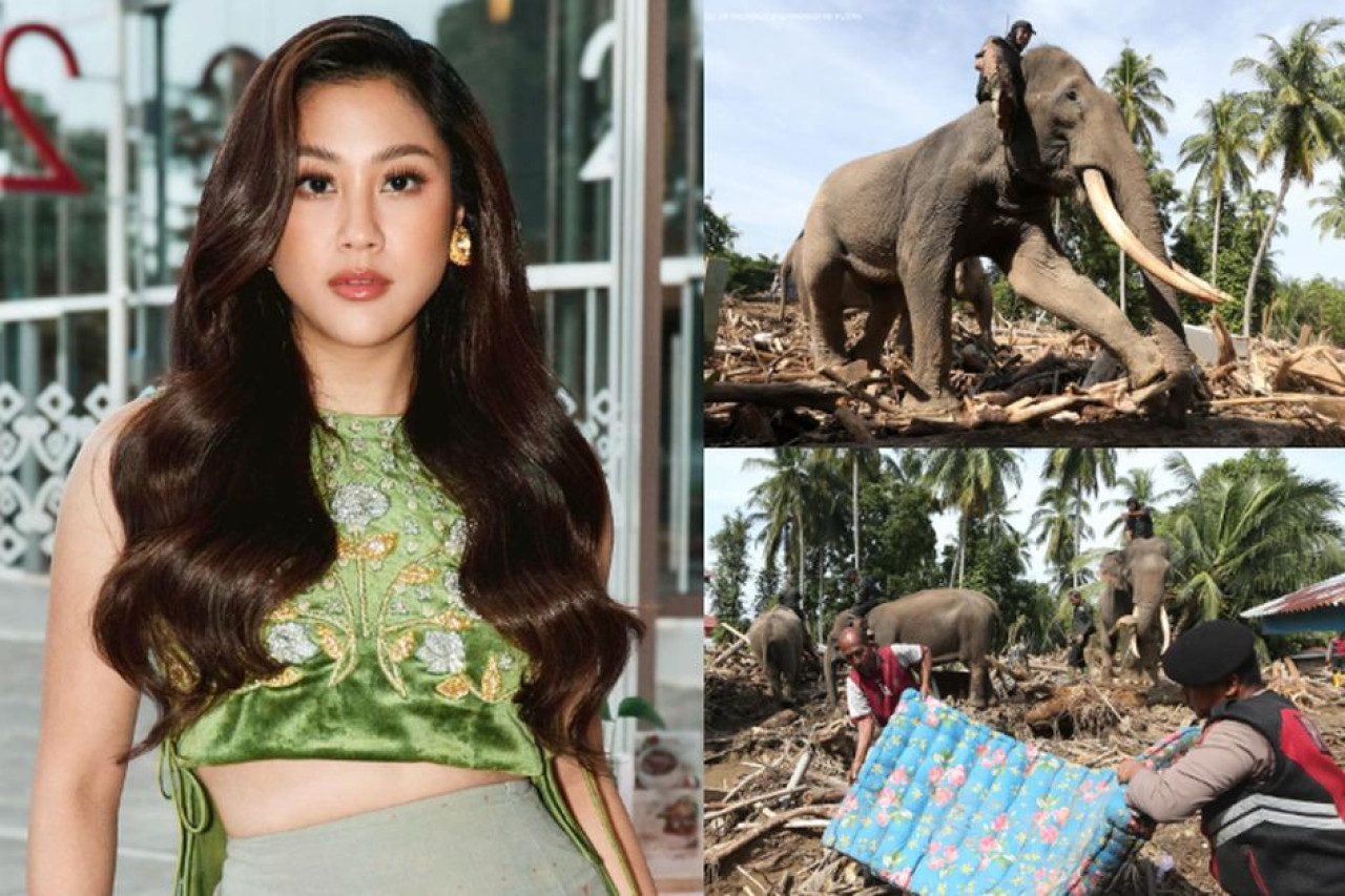 Sherina Munaf Protes Keras: Gajah Bukan Alat Berat untuk Bersihkan Banjir Aceh Sherina Munaf Protes Keras: Gajah Bukan Alat Berat untuk Bersihkan Banjir Aceh
