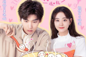 Simak sinopsis Drama China Sweet Programmer